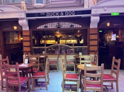 The Duck and Dog Pub picture