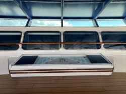Adventure of the Seas Bridge Overlook picture