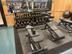 Disney Magic Fitness Center picture