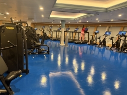 Disney Magic Fitness Center picture