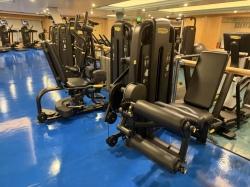 Disney Magic Fitness Center picture