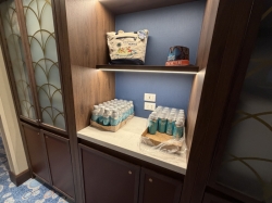 Disney Magic Disney Vacation Club picture