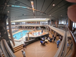 Safari Pool picture Safari Pool picture