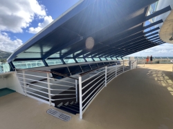 Adventure of the Seas Bridge Overlook picture