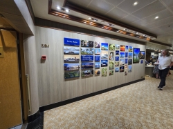 Diamond Princess Photo Gallery picture