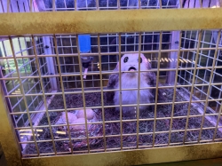 Oceaneer Club picture