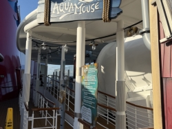 Disney Treasure AquaMouse picture