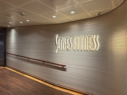 Senses Fitness picture