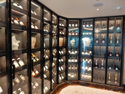 Silver Ray La Dame picture