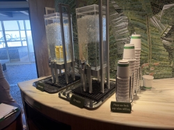 Disney Dream Senses Rainforest picture