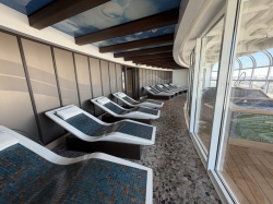 Disney Dream Senses Rainforest picture