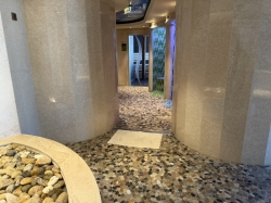 Disney Dream Senses Rainforest picture