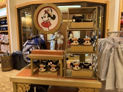 Mickeys Mainsail picture