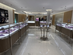 Carriage Jewels picture Carriage Jewels picture