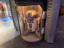 Disney Dream Oceaneer Club picture