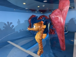 Disney Dream Nemos Reef picture