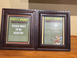 Disney Dream Virtual Sports Simulators picture