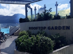 Celebrity Beyond Rooftop Garden picture