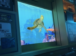 Animators Palate picture