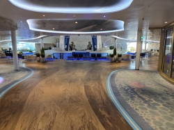Icon of the Seas AquaDome picture