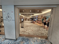 Icon of the Seas Vitality Spa picture