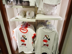 Mickeys Mainsail picture Mickeys Mainsail picture