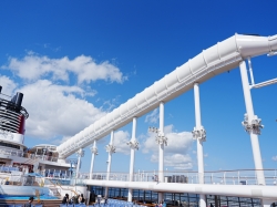 AquaMouse picture AquaMouse picture