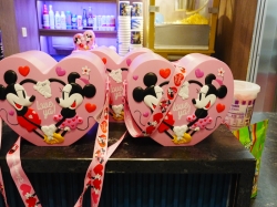 Disney Wish Preludes picture