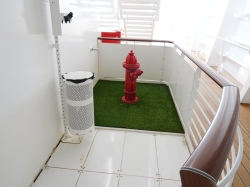 Disney Wish Plutos Corner picture