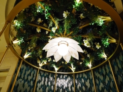 Disney Wish Bayou picture