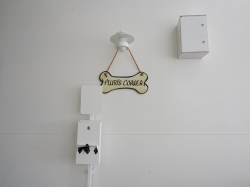 Disney Wish Plutos Corner picture