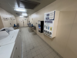 Majestic Princess Laundromat picture