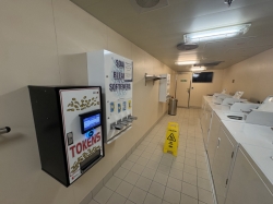 Majestic Princess Laundromat picture