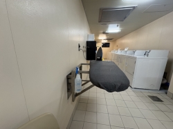 Majestic Princess Laundromat picture
