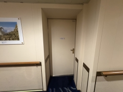 Majestic Princess Laundry picture