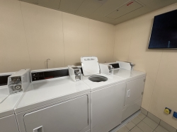 Majestic Princess Laundry picture