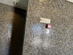 Canyon Ranch Spa Club picture