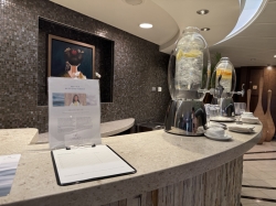 Canyon Ranch Spa Club picture