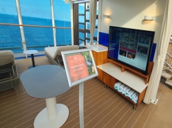 Star Princess Sanctuary Club picture