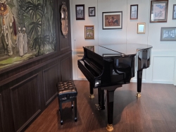 MSC World Europa Raj Polo Tea House picture