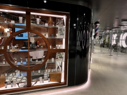 MSC Aurea Spa picture