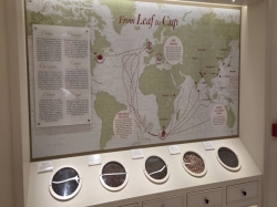 MSC World Europa Raj Polo Tea House picture