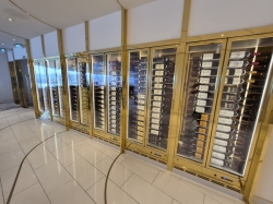 Norwegian Aqua Hudsons picture