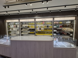 Norwegian Aqua Shops picture