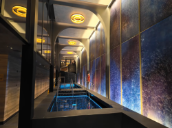 Mandara Spa & Salon picture