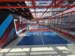 Pickleball Court picture Pickleball Court picture