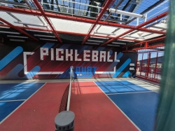 Pickleball Court picture Pickleball Court picture