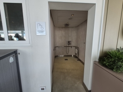 Norwegian Aqua Main Pool picture