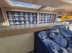 Norwegian Aqua Main Pool picture