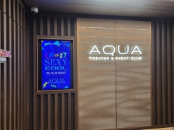 Aqua Theater & Club picture
